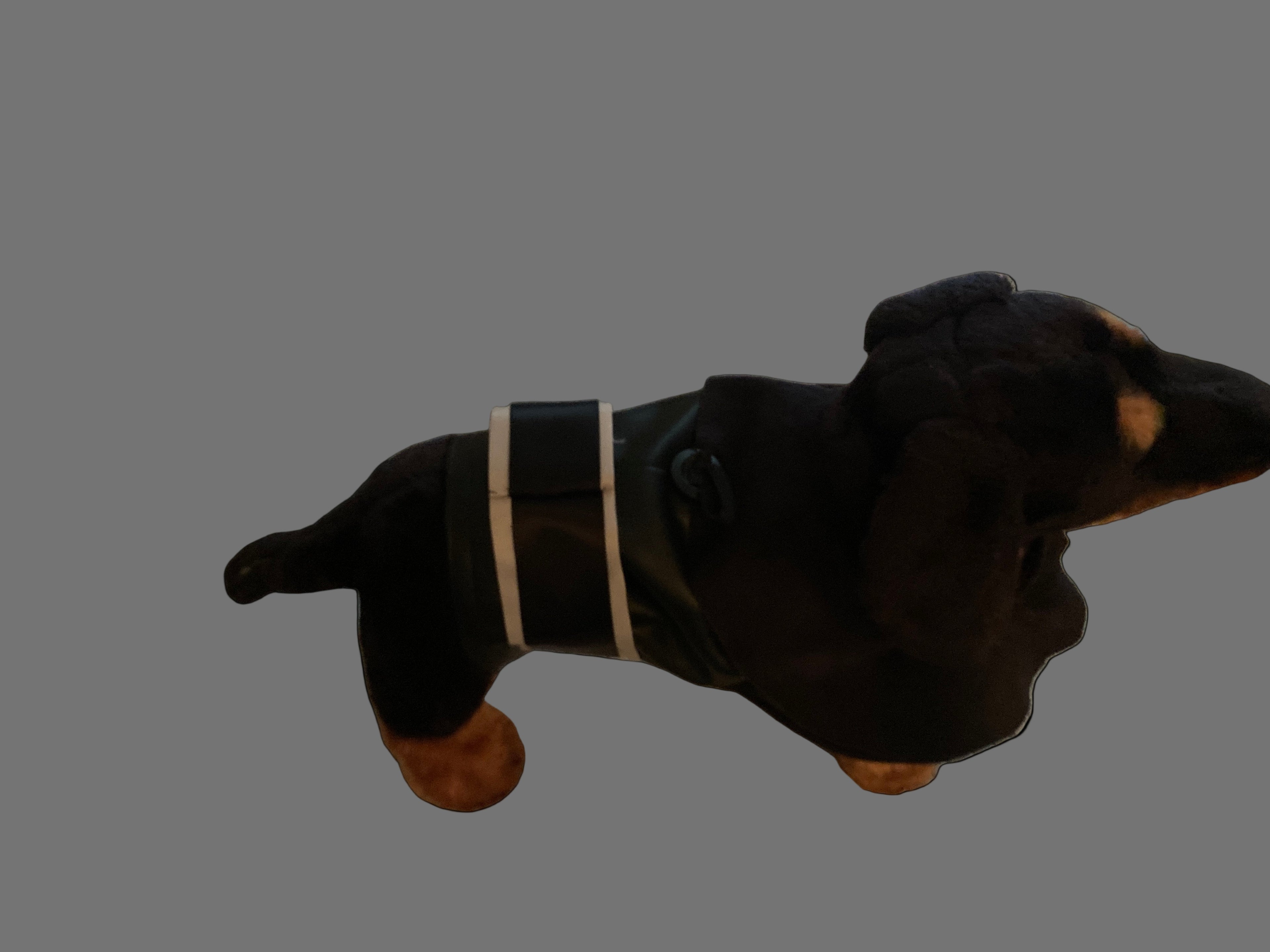 Custom Dog Coat