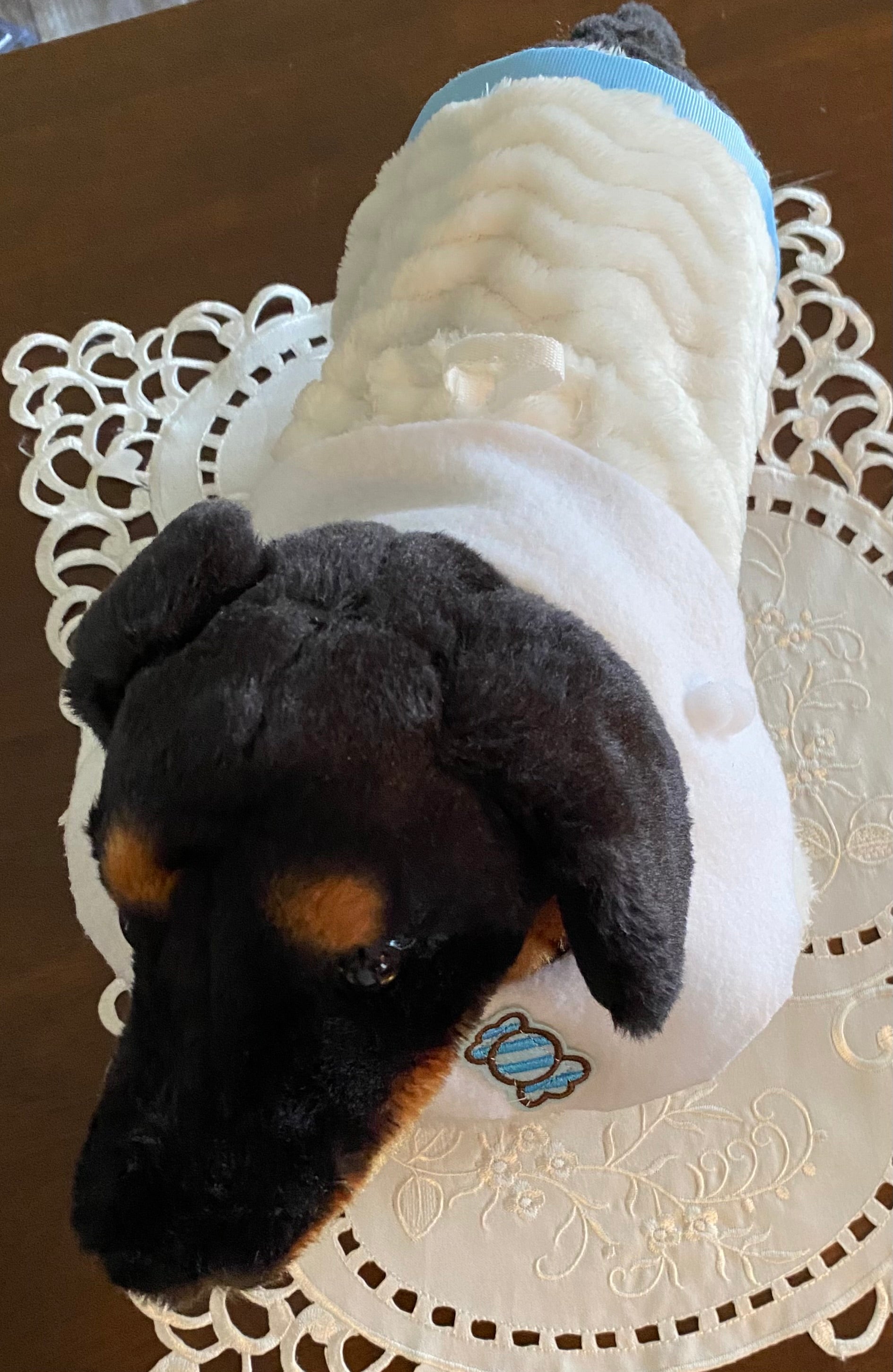 Custom Dog Coat