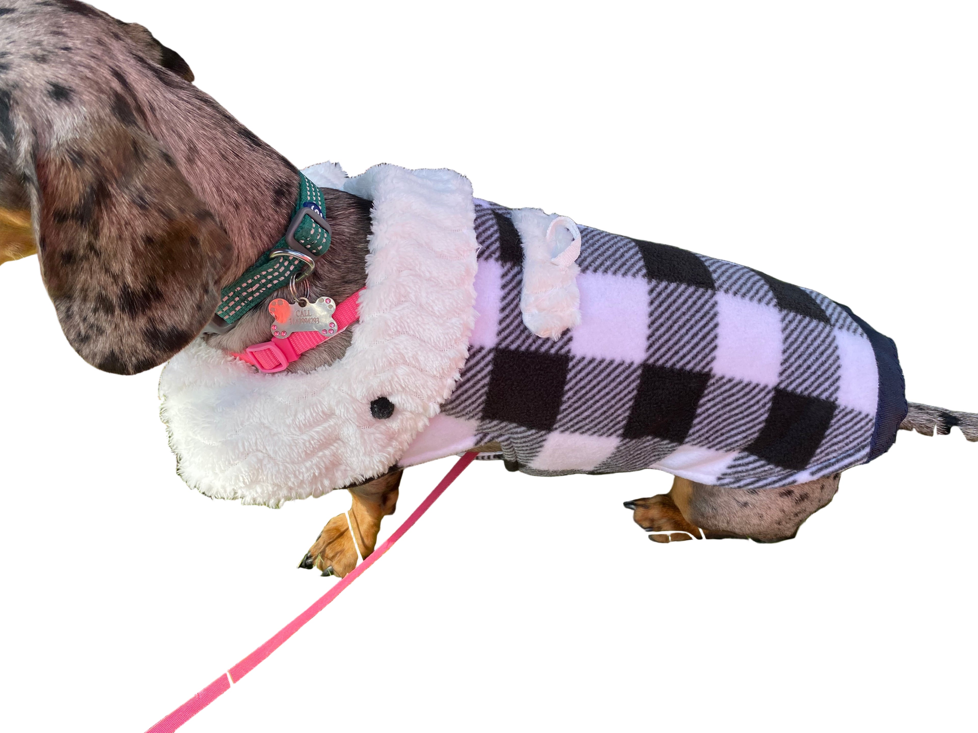 Custom Dog Coats