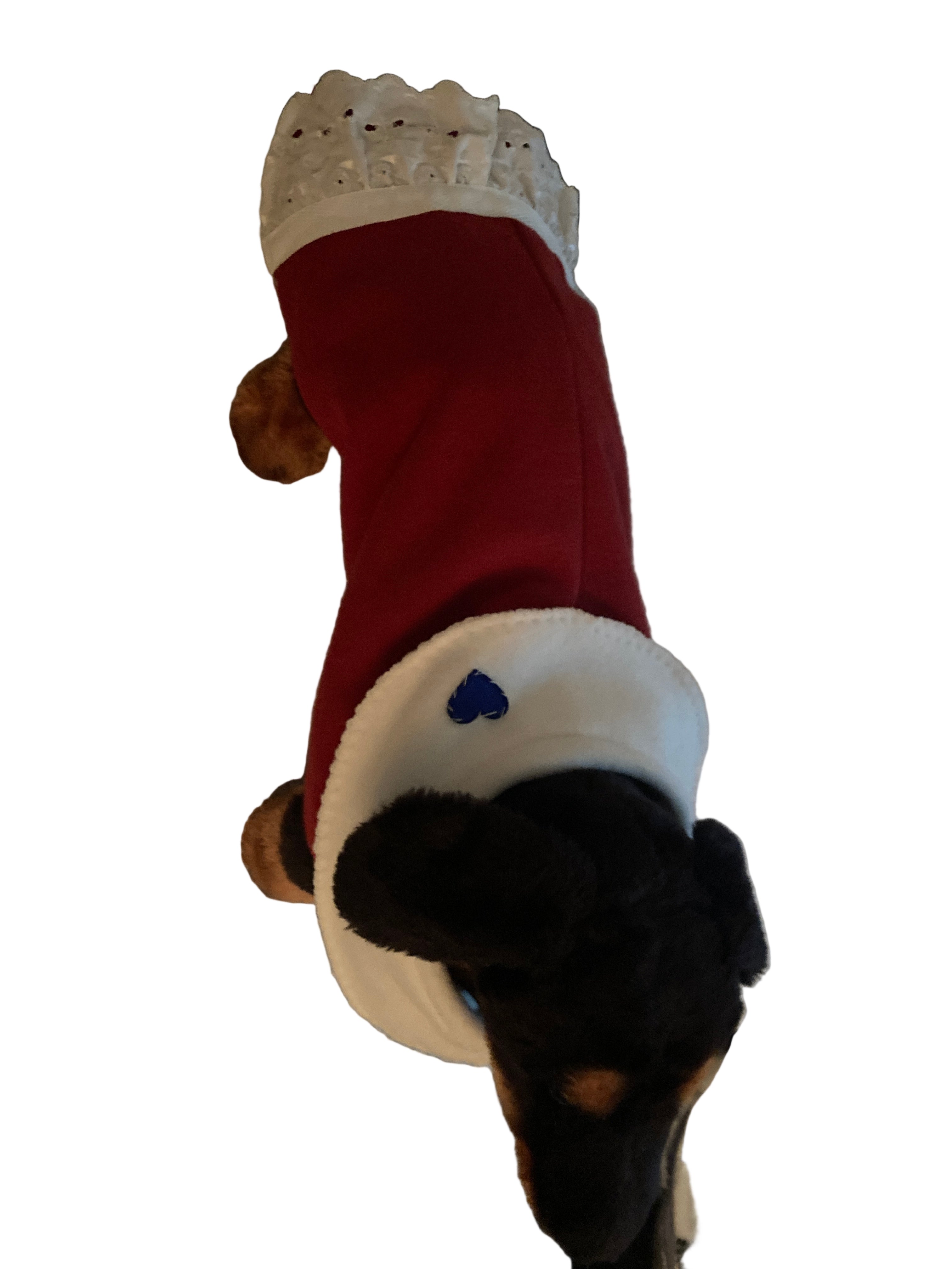 Custom Dog Coat