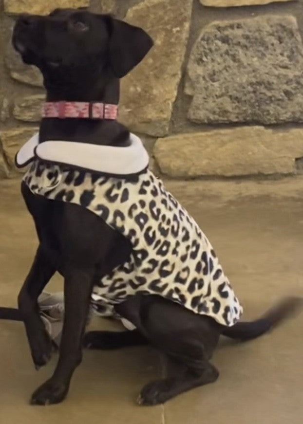 Custom Coat Animal Print Large Breed Comfort Smooth Fabric Lining Easy Grooming