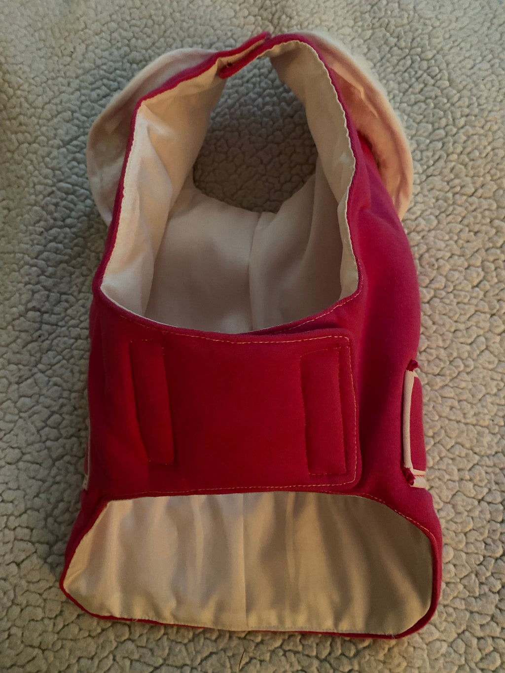 Custom Dog and Kitty Coat