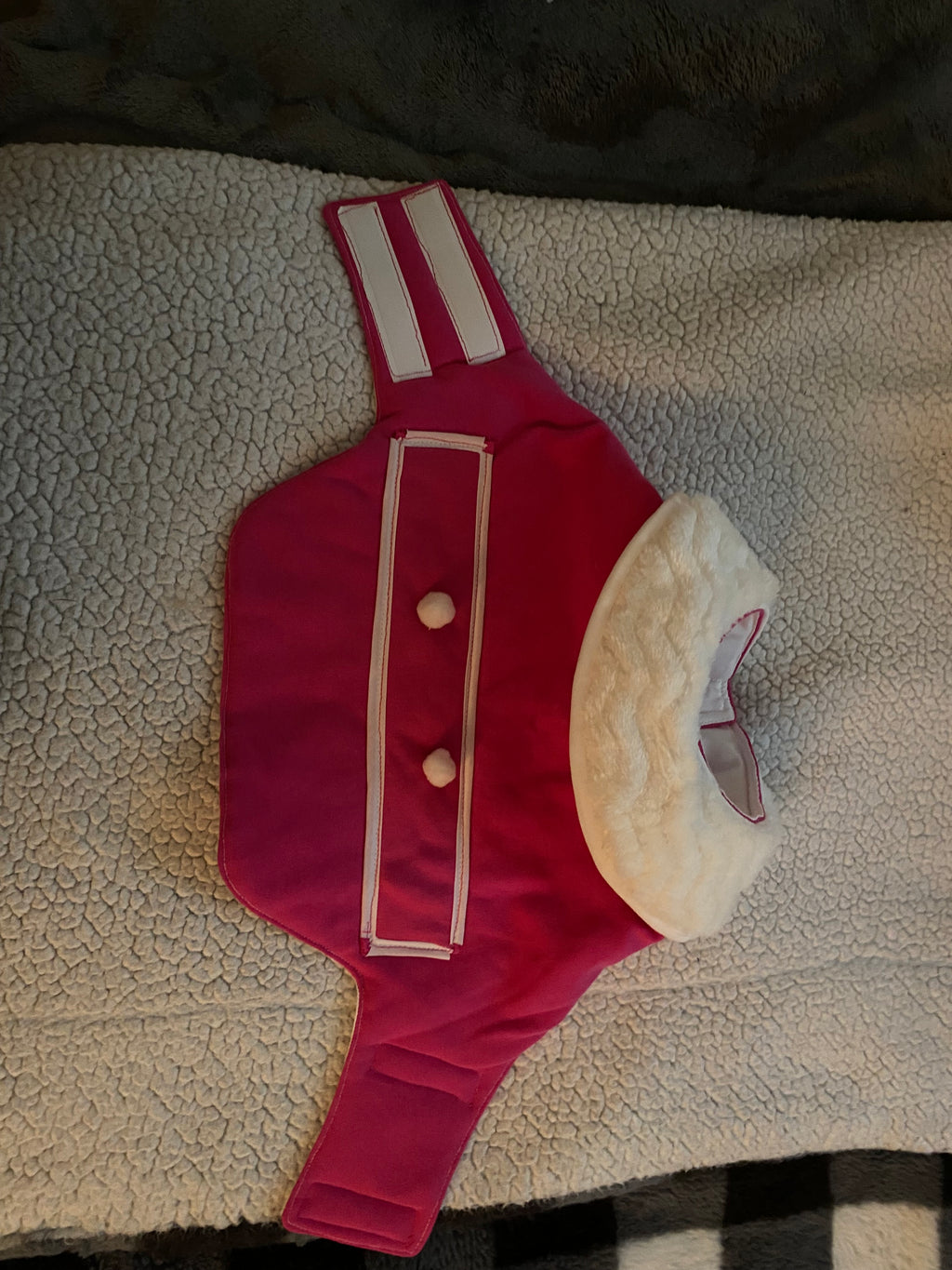 Custom Dog and Kitty Coat