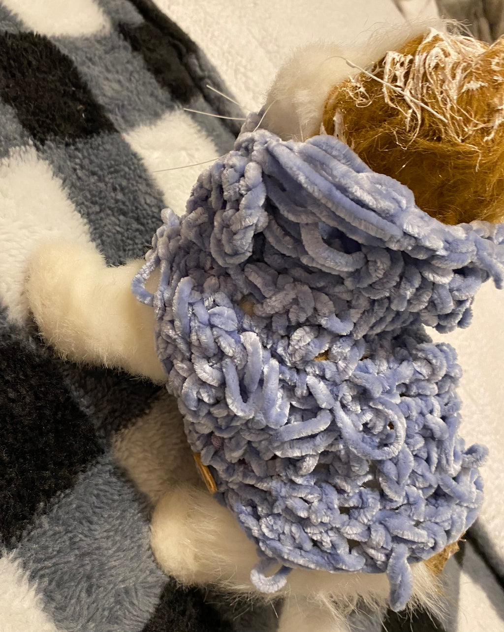 Custom Kitty / Doggie Coat