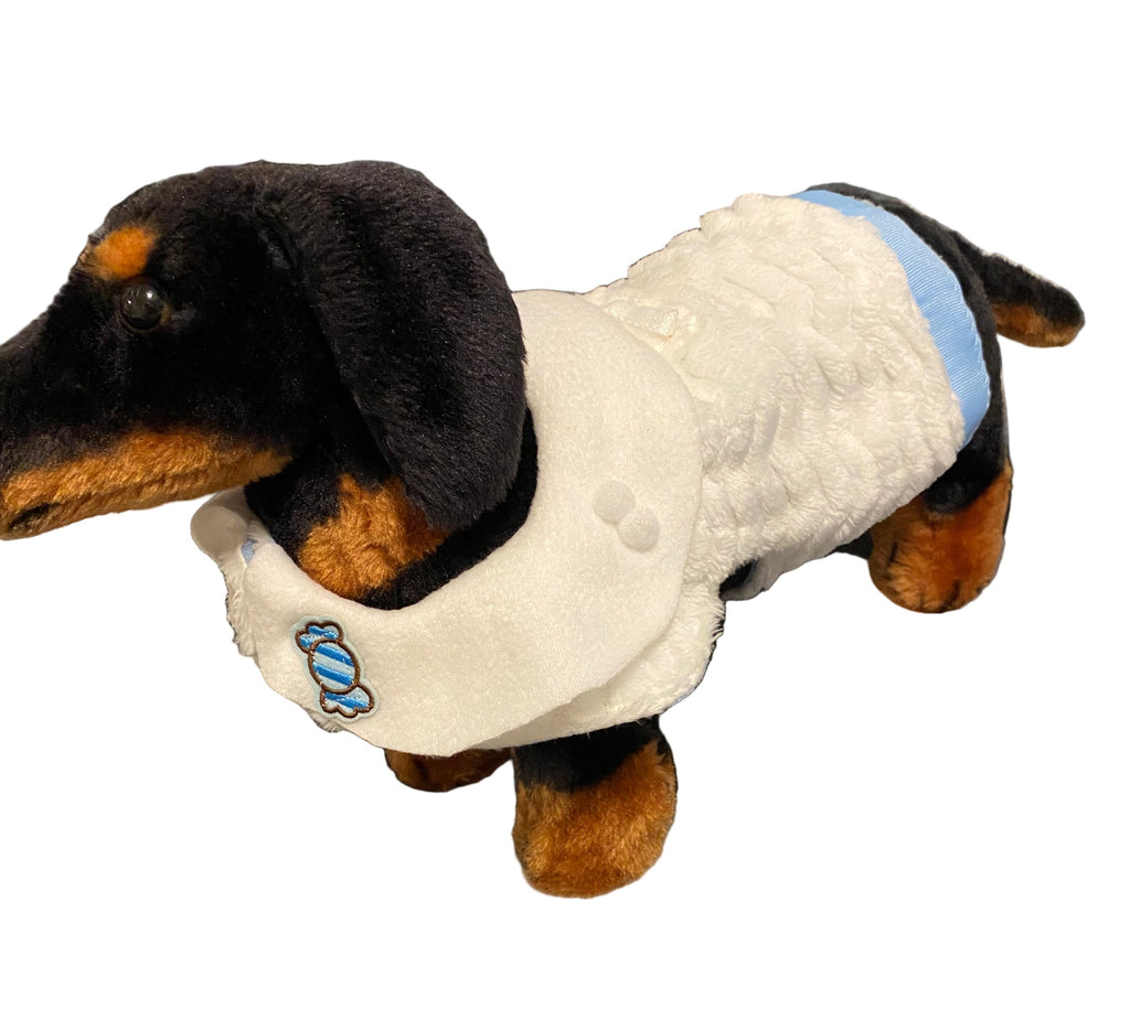 Custom Dog Kitty Coat