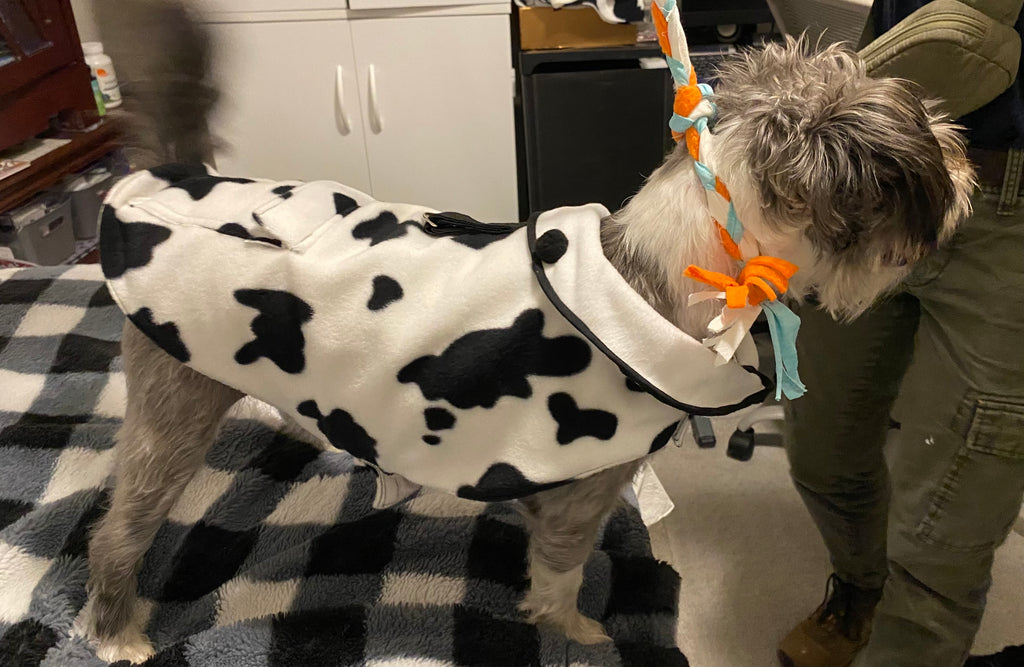 Custom Dog Coat Cow Print