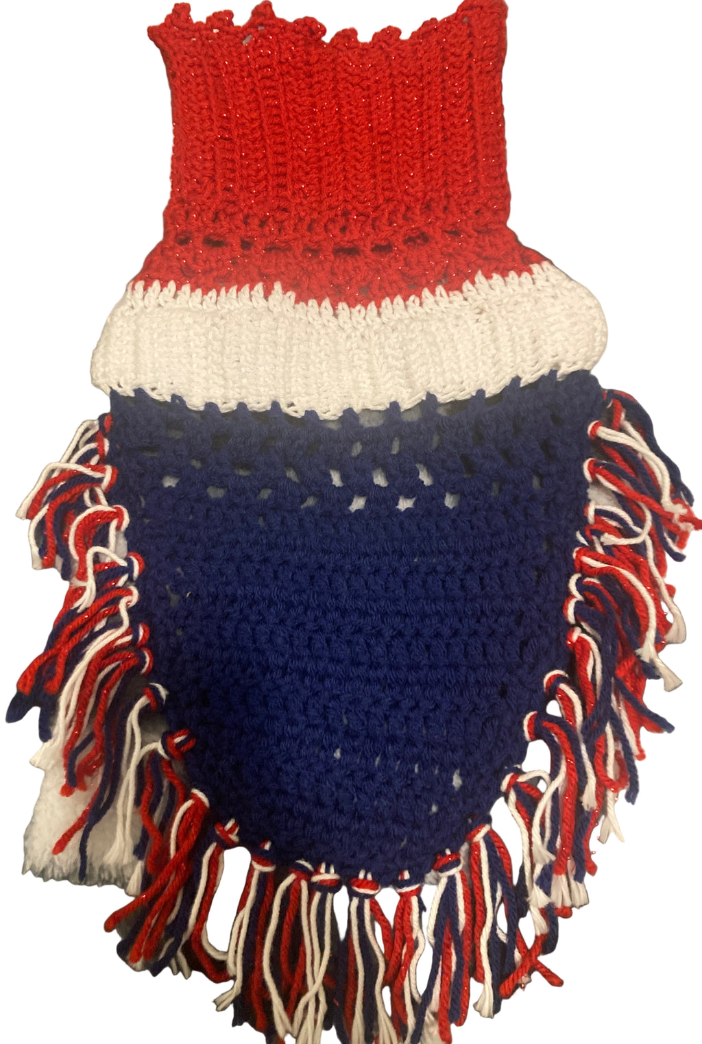 Custom Celebration Dog Coat