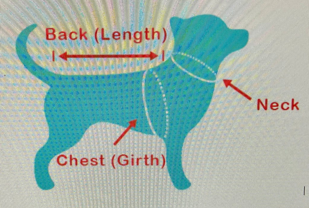 Custom Coat Small Dog / Kitty Faux Leather