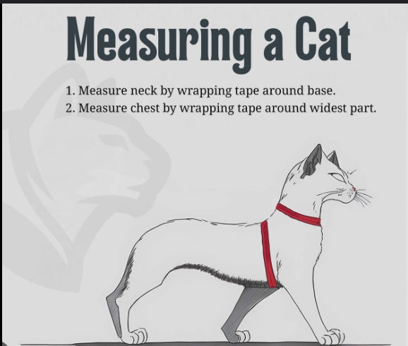 Custom Dog Coat Aqua White Trim and White Bow