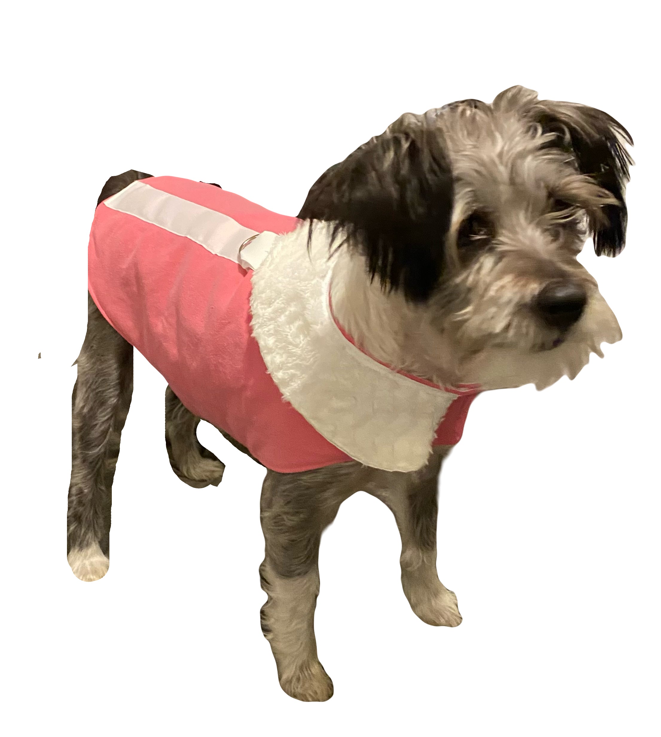 Custom Stylish Dog Coat Fun Pink Fabric Cozy Comfort with warm collar