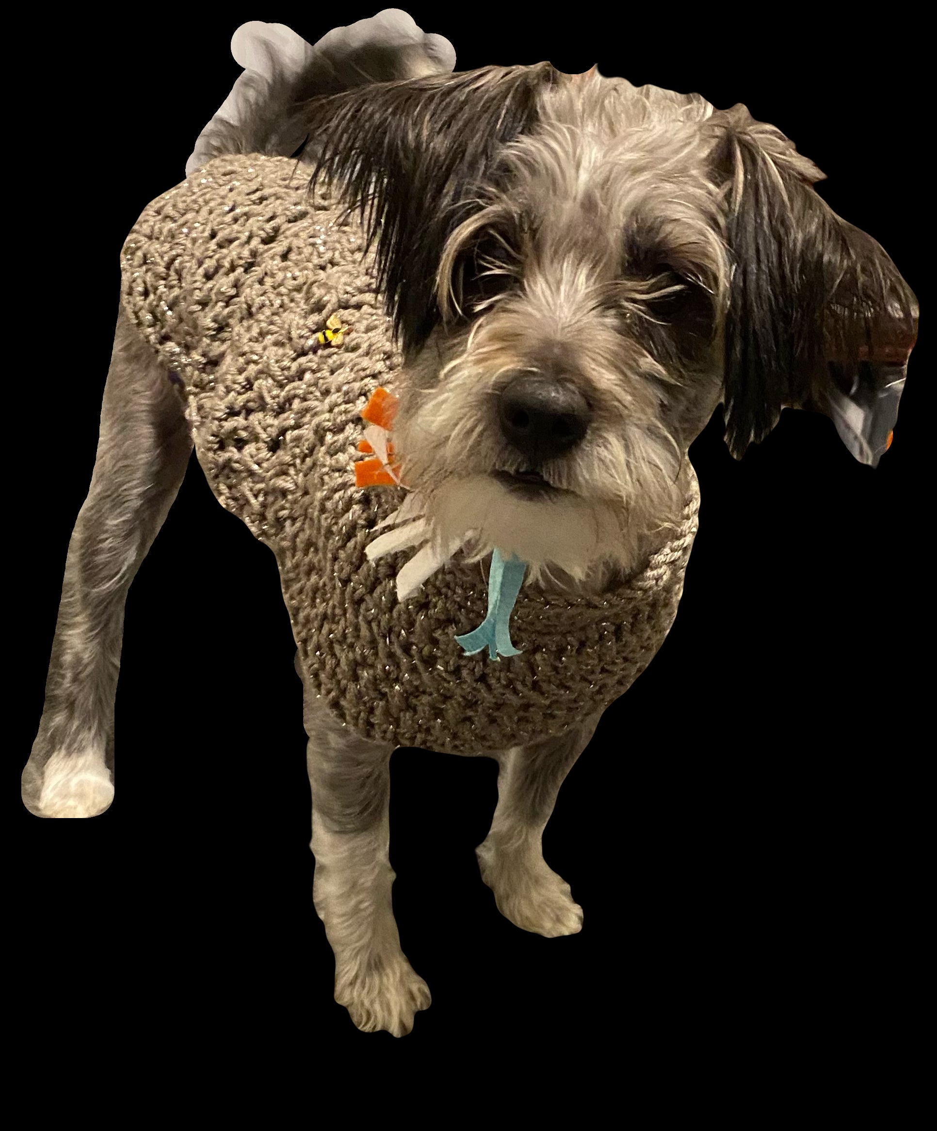 Custom HandmadevDog/Kitty Small to Medium Coat Taupe Crochet Perfect Fit