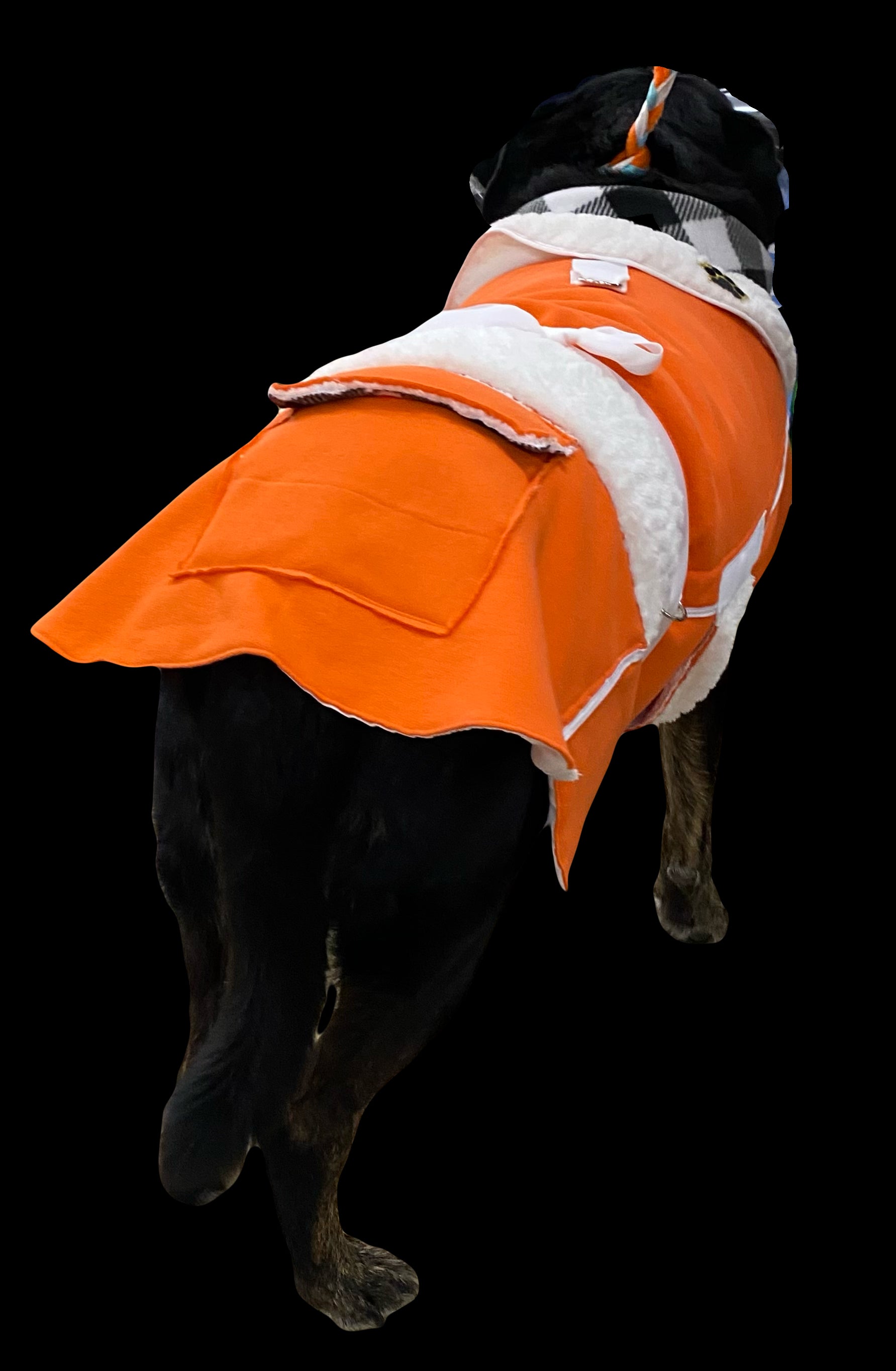 Labrador, Rottweiler, Mastiff, Cane Corso Large Breed Protective Bright Orange  …