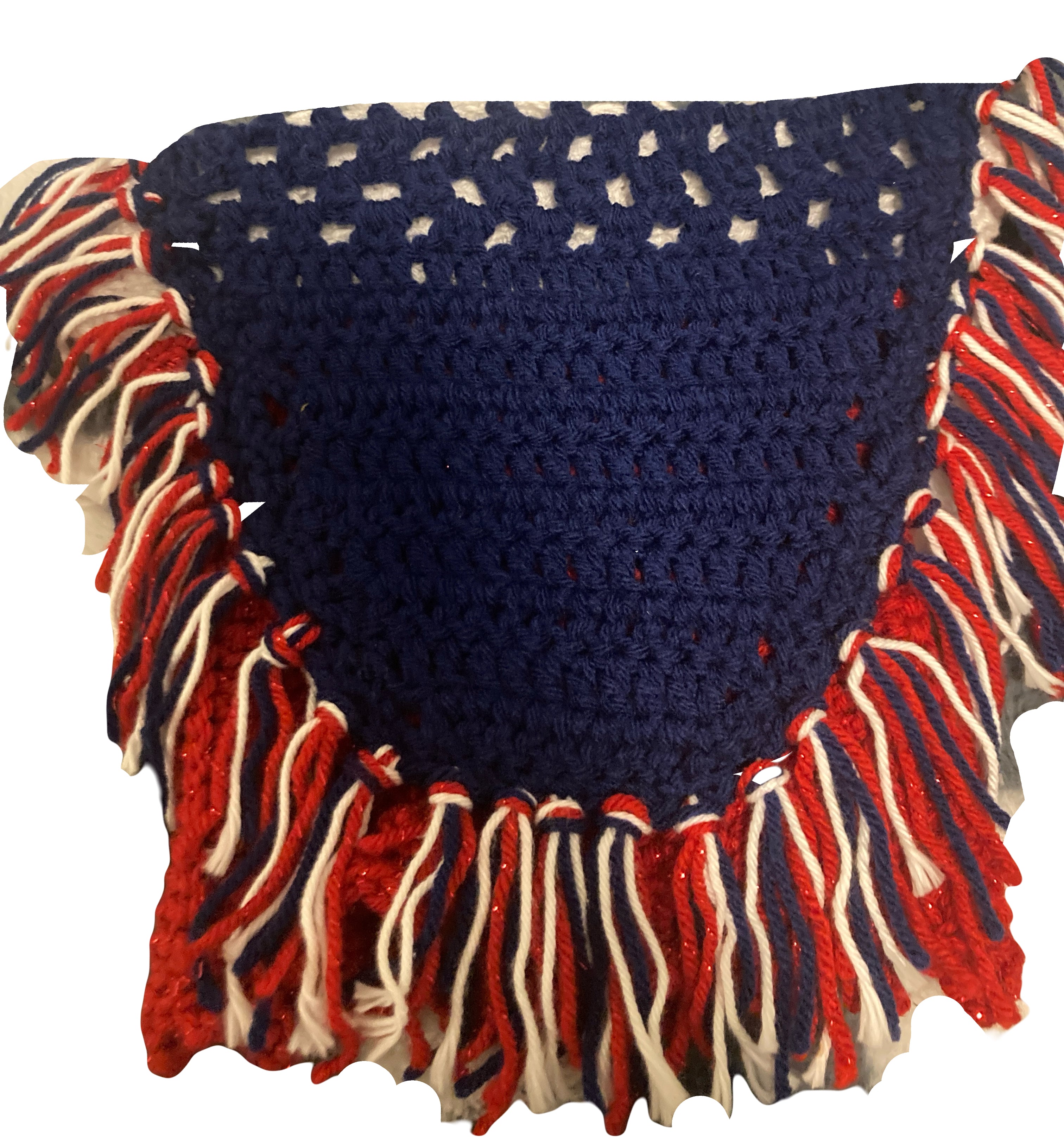 Custom Celebration Dog Coat