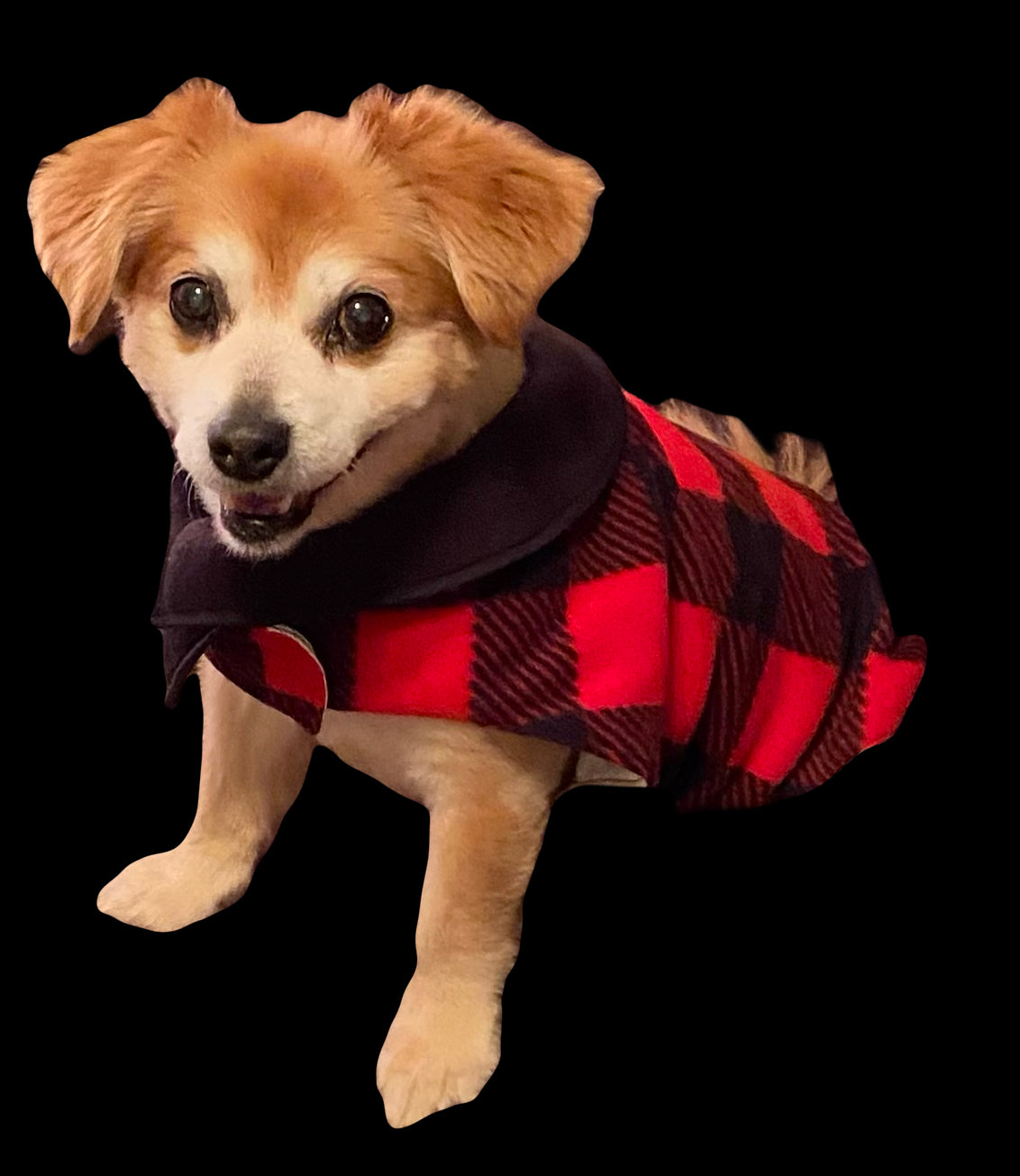 Custom Dog Coat Festive Red Buffalo Plaid Cozy Comfort with pocket