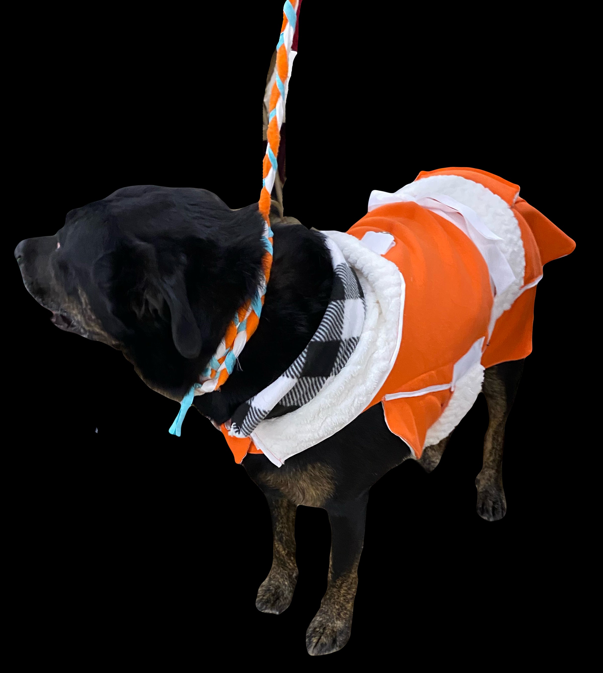 Custom Dog Lead 5’6” for Any Size Dog.  Like Ceasar Millan uses.